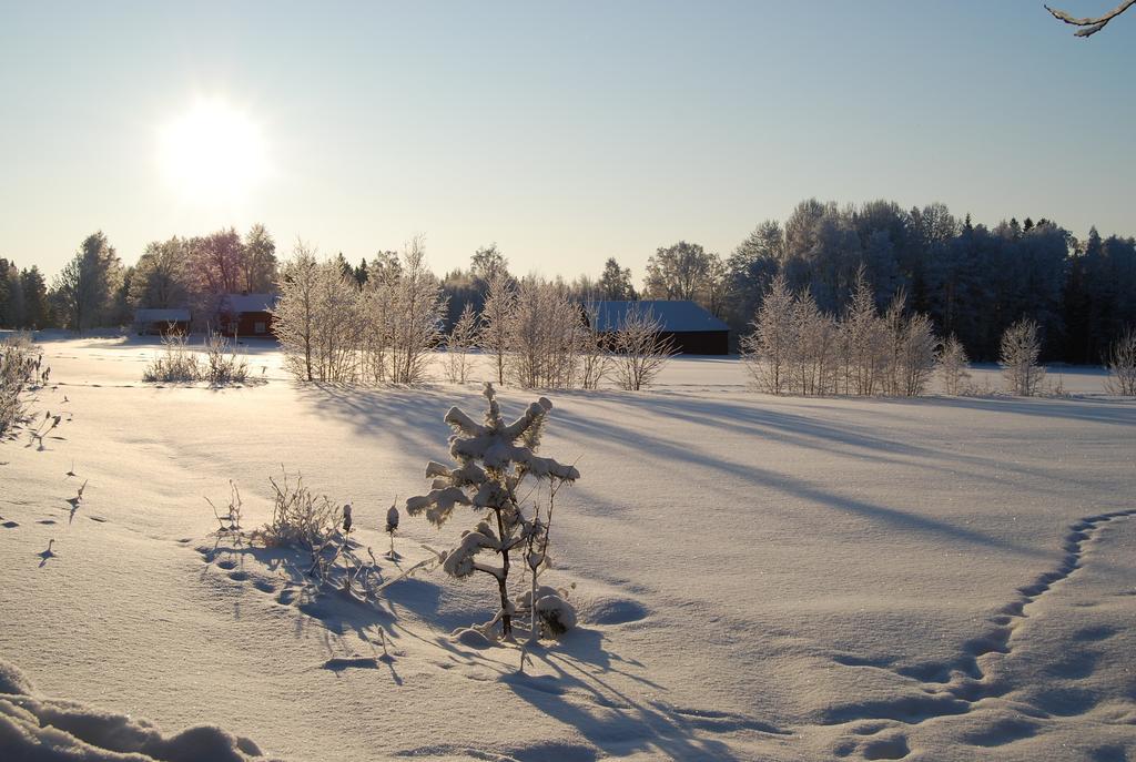 Hamgarden Nature Resort Tiveden Стая снимка