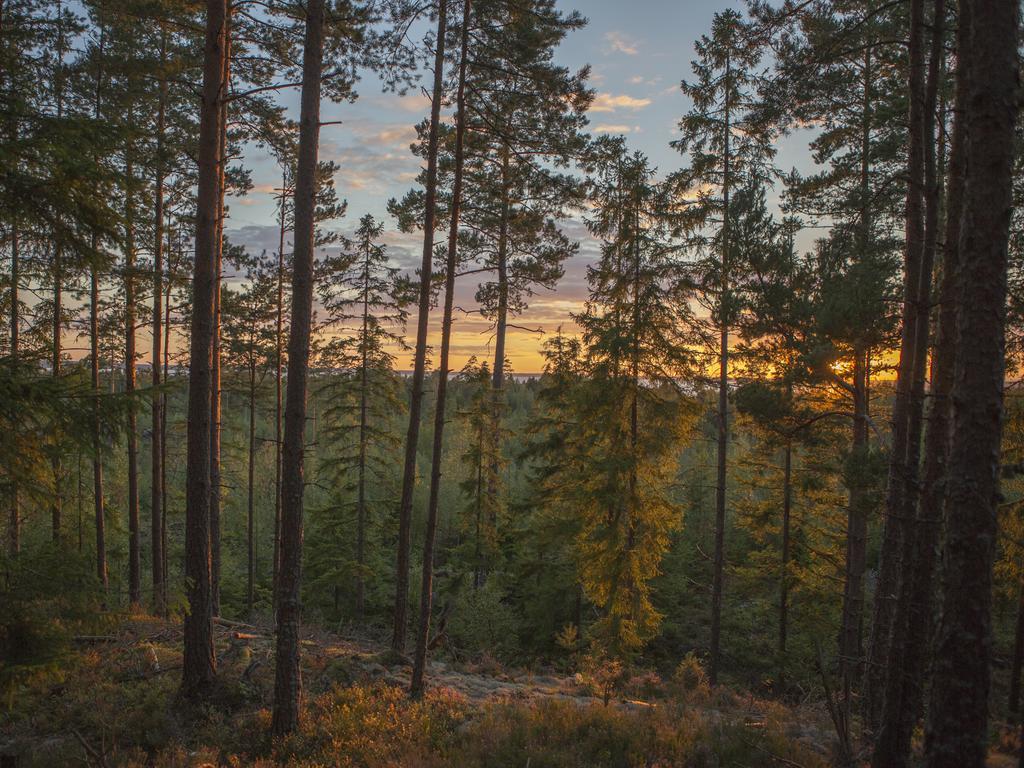 Hamgarden Nature Resort Tiveden Стая снимка